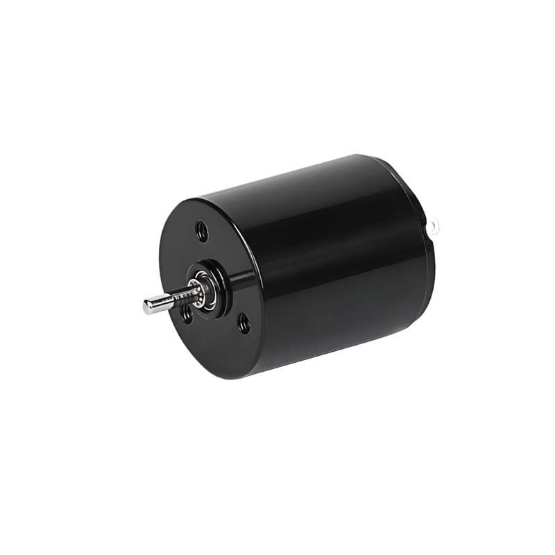 マイクロコアレスブラシ DCモーター 22mm 3.61ワット 6900rpm 36V 調整可能