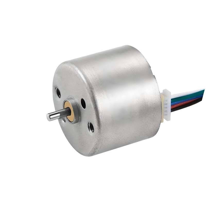 12V 24mm ブラシレス DC モーター BLDC モーター ヘアカーラーと医療機器