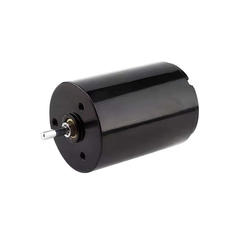 簡単に制御できる炭素ブラシモーター マイクロ 22mm 3.61ワット 6900rpm 36V 調整可能